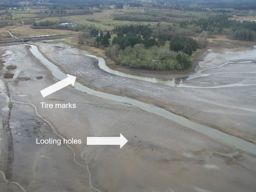 Evidence of looting at Fern Ridge Dam and Reservoir: an aerial photo showing a slightly flooded area with holes where someone dug up artifacts.