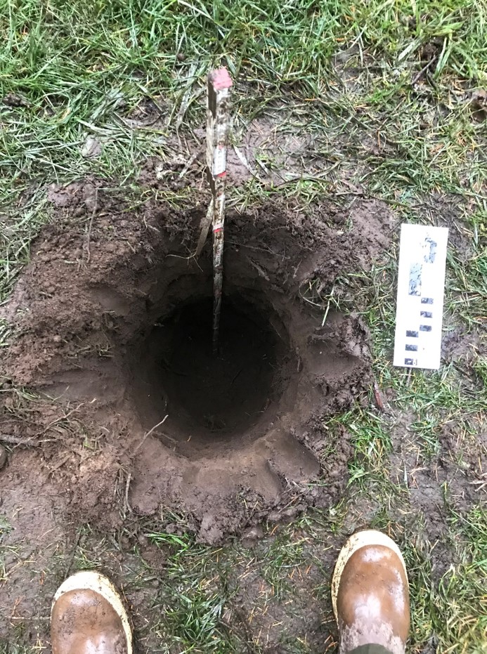 A shovel probe; a round hole in the ground, about one foot in diameter