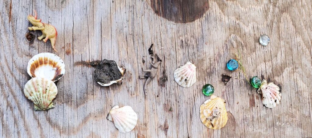 shells, marble, and toys on a deck speckled with mud