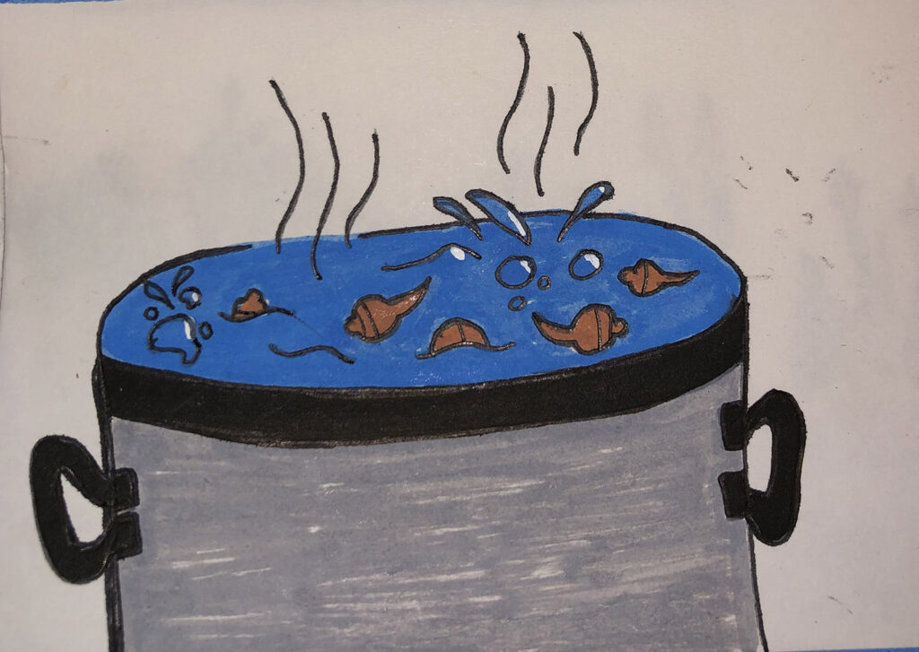 Illustration of wapato cooking in a large pot