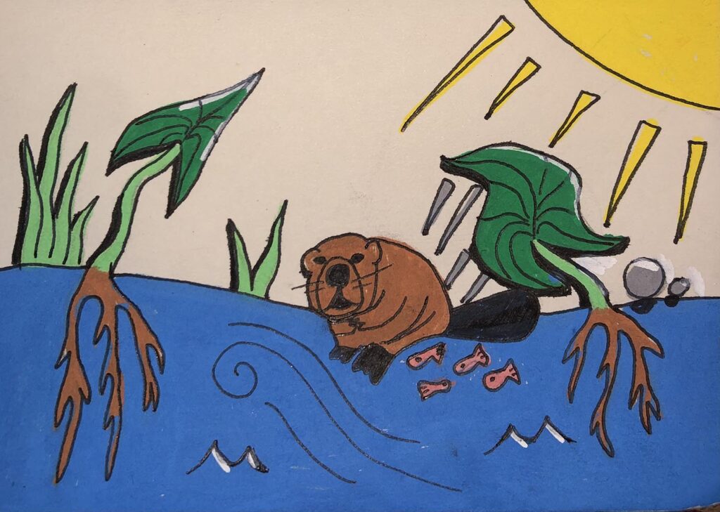Illustration of wapato and a beaver